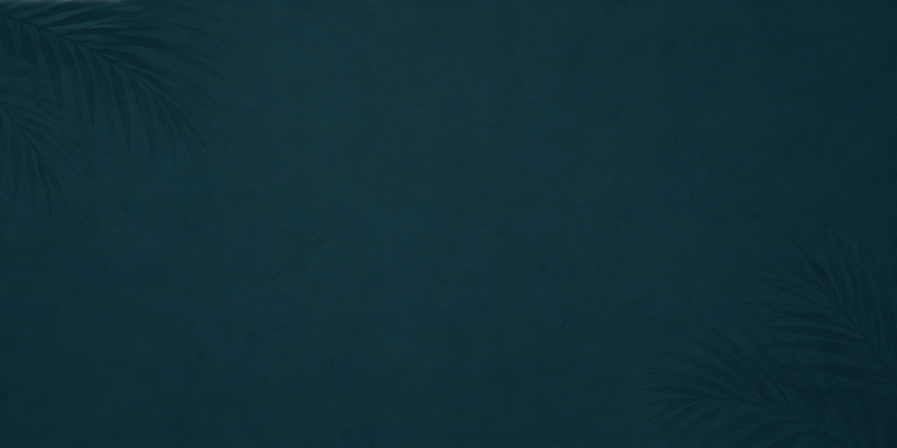 Contact Background